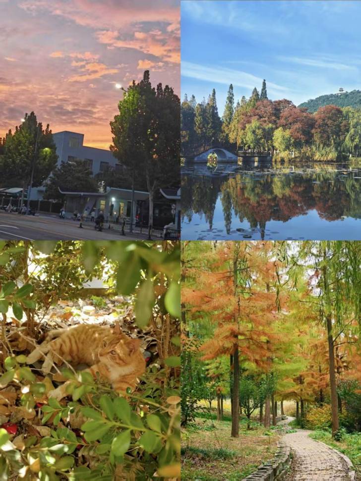 2339dc8491d04e243e5861655020327b